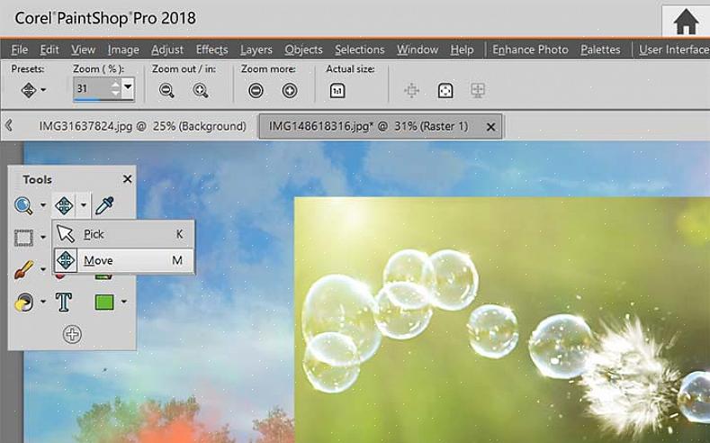 Adquira o software Paint Shop Pro XI em qualquer loja mais próxima