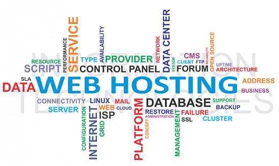 Um host da web é a empresa que possui o servidor de computador onde os arquivos do seu site são mantidos