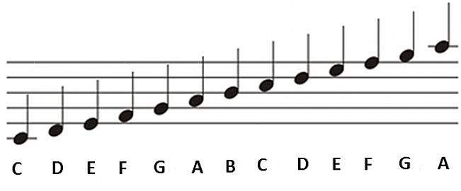 A mão esquerda de um pianista é usada para tocar as notas da clave de sol da partitura de um piano