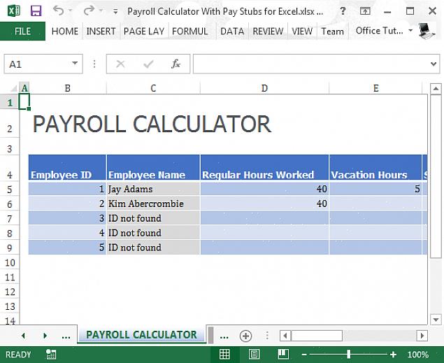 Insira os dados do funcionário na folha da calculadora da folha de pagamento