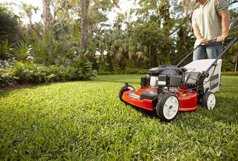 Em algum momento precisará comprar um cortador de grama