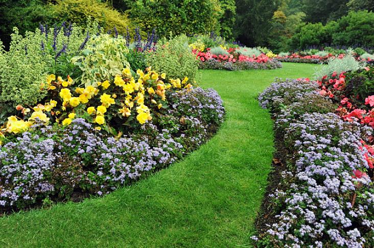 Evite ter um solo compacto no canteiro de seu jardim