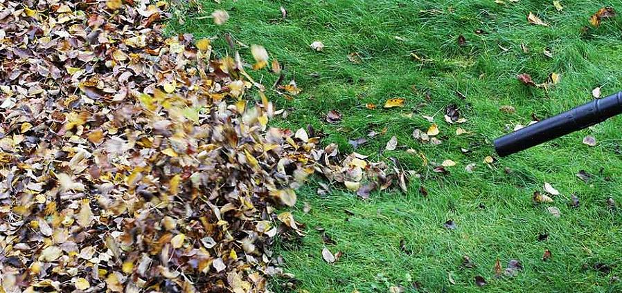 A primavera é a melhor época para limpar sua paisagem