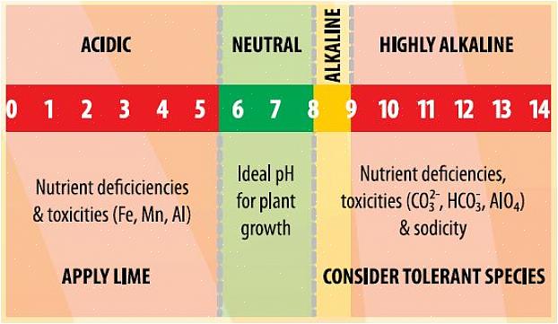 O que isso significa para você é que você precisará de um kit de teste de pH do solo