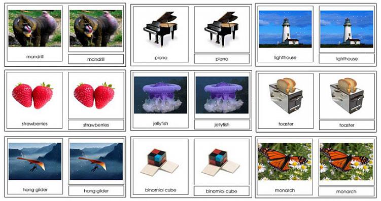 Os cartões ilustrados Montessori podem ser usados por crianças sozinhas