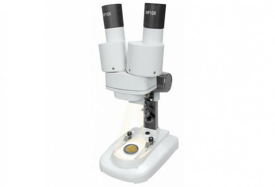 O microscópio possui uma placa de estágio com clipes na lateral onde você pode colocar o espécime para ser