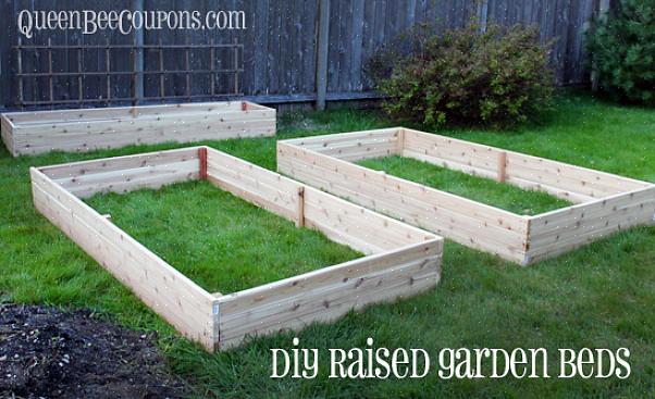 Pode até mesmo criar uma horta na caixa do jardim elevado