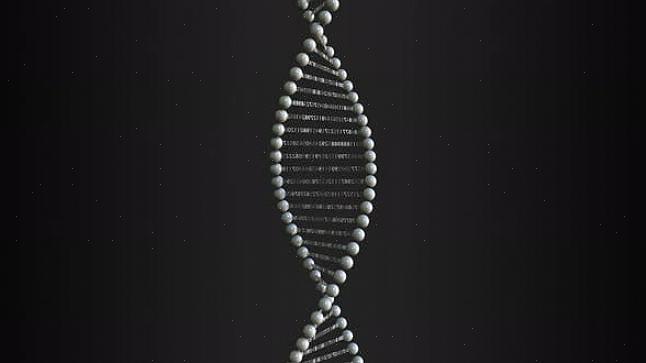 Se sua tarefa é fazer um modelo de molécula de DNA