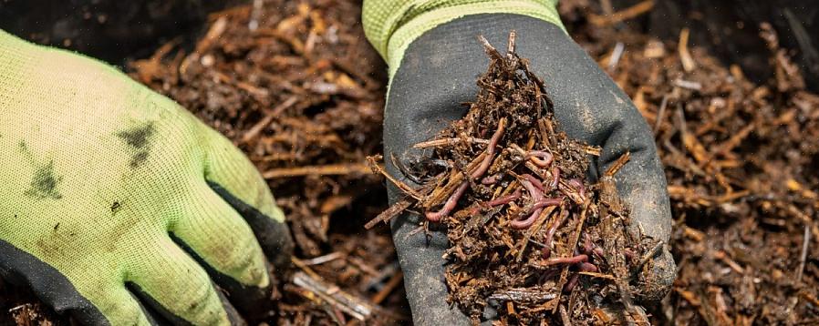 Os corretivos orgânicos mais comuns do solo são composto