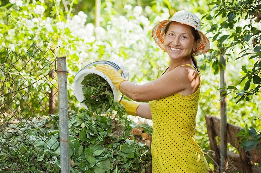 Assim que tiver sua caixa de compostagem