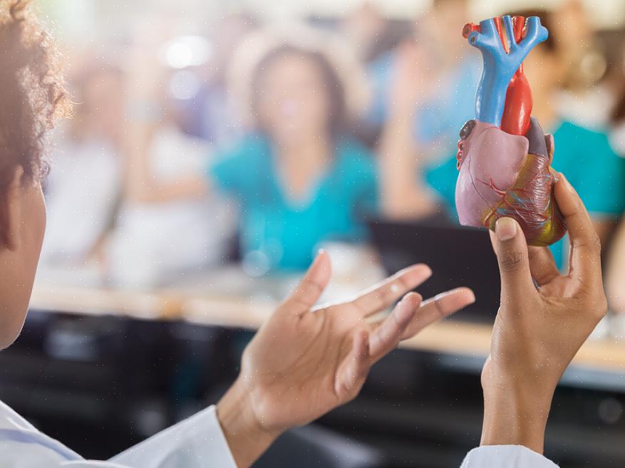 Um cardiologista deve ter alguns anos de experiência para ter mais oportunidades de carreira em sua área