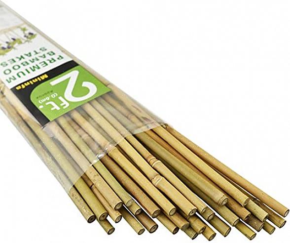 Isso garantirá que a serra siga a pontuação assim que você começar a cortar o bambu