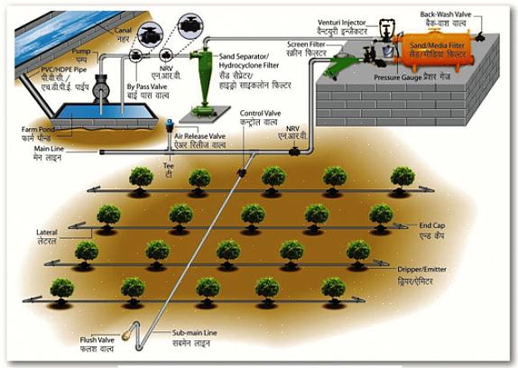 Determine os conectores "v" necessários para todo o sistema de irrigação por gotejamento