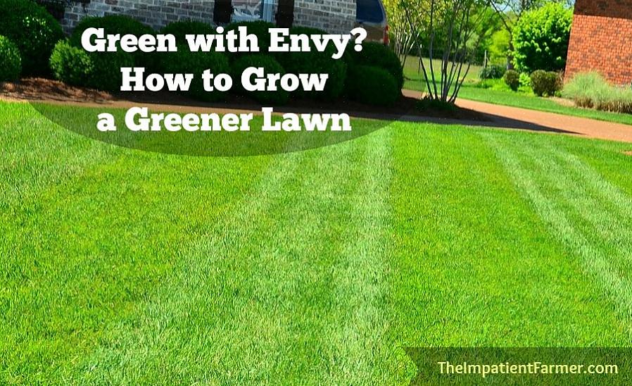 Truques que você pode usar para ter uma grama mais verde em seu gramado