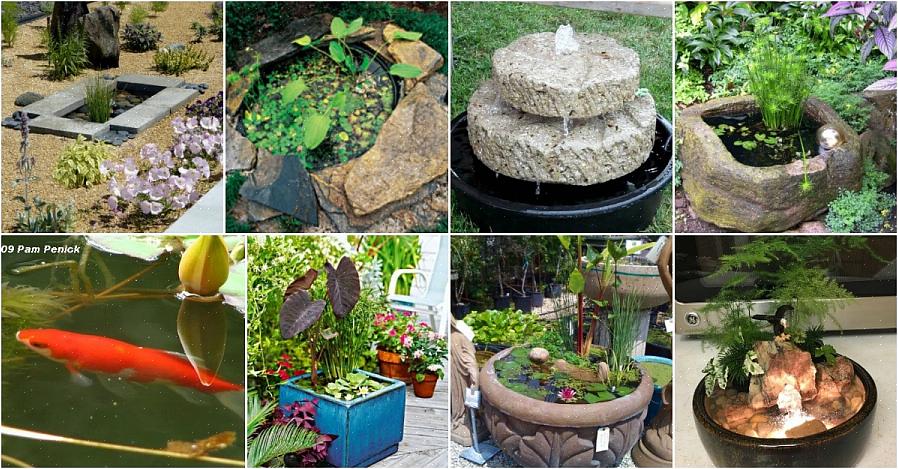 Você pode facilmente fazer seu próprio jardim aquático interno com materiais de sua loja de jardinagem local