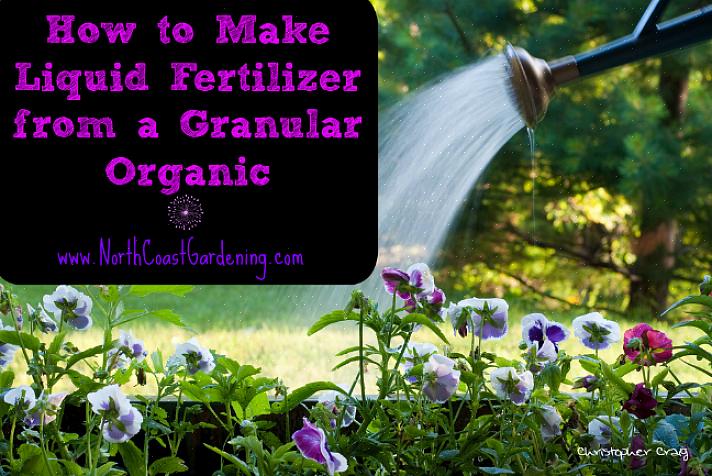 A maneira mais fácil de fazer fertilizante orgânico em casa é criar uma fossa de compostagem