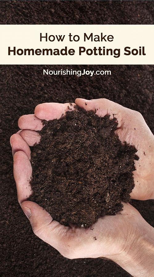 Isso o torna outra base orgânica amplamente utilizada para envasamento de solo