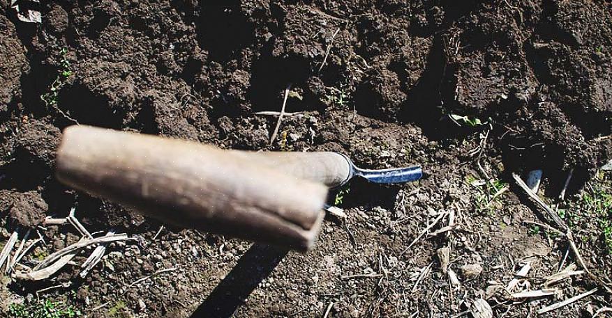 Certifique-se de que todas as suas plantas podem se beneficiar de ácido adicional