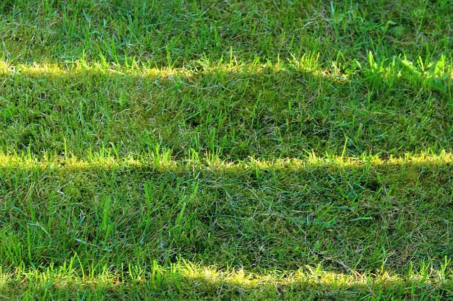 Mantenha as lâminas do cortador afiadas a cada 2 sessões de corte para cortar as lâminas de grama de forma