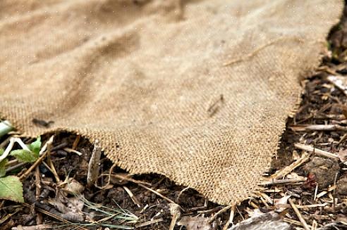 Não importa se os sacos de café de estopa ficam manchados