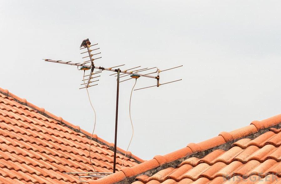 O primeiro passo é comprar uma antena para uso em TV digital