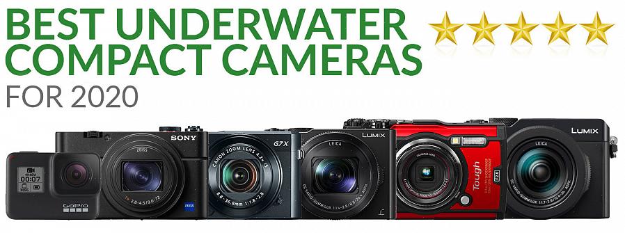 Faça alguma pesquisa online para saber quais opções estão disponíveis para diferentes câmeras subaquáticas
