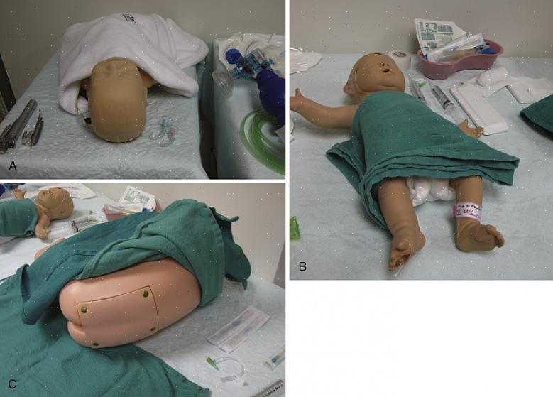 Bebês virtuais fornecem uma simulação de bebê virtual online