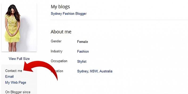 Acompanhar blogs regularmente oferece uma visão bastante precisa do tipo de pessoa que o blogueiro é