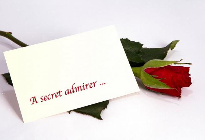 Os cartões do Secret Admirer da Zazzle podem ser uma de suas opções atuais ao tentar enviar um cartão