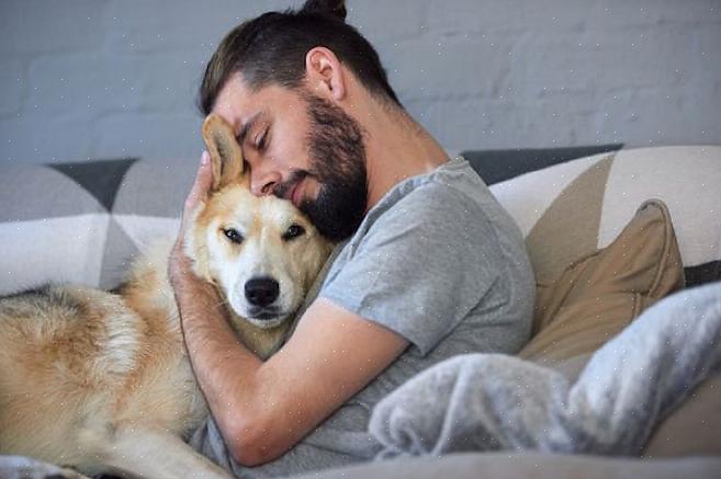 Sua namorada vai querer levar o cachorro em passeios ocasionais