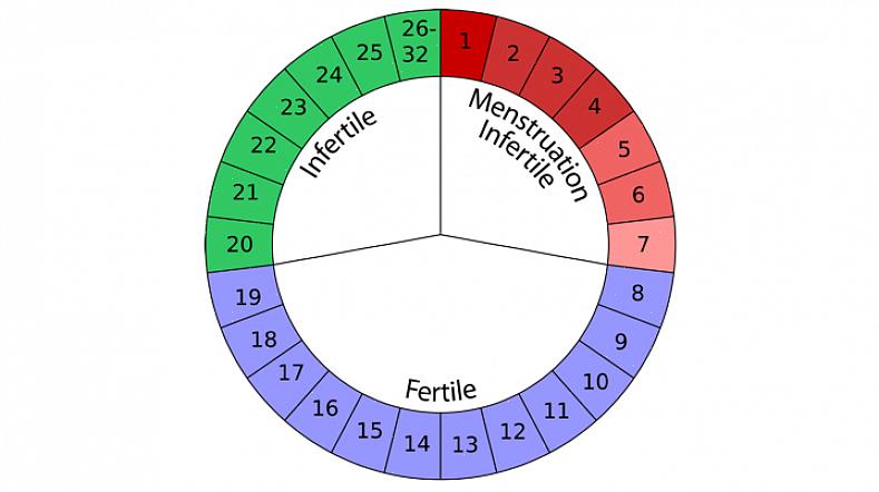 Você não pode usar o método de calendário para que seu ciclo menstrual dure menos de 28 dias