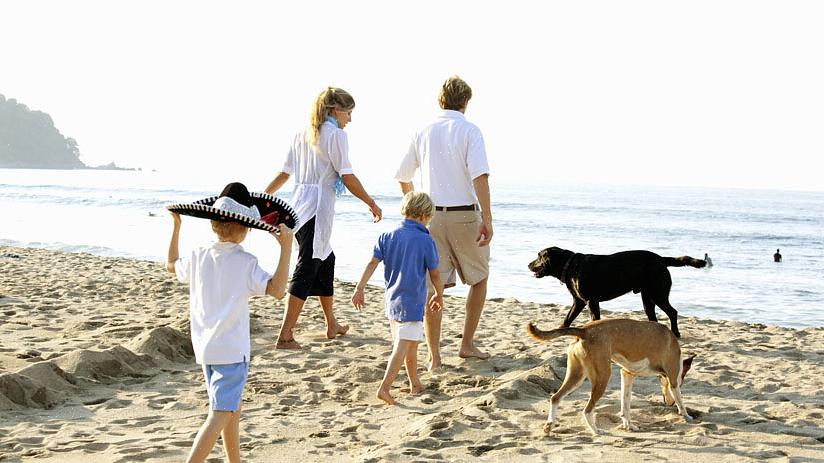 Pergunte ao pai natural sobre como conquistar seus filhos