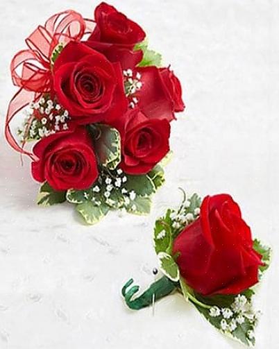 Certifique-se de escolher uma rosa com pétalas que ainda não floresceram totalmente até a maturidade