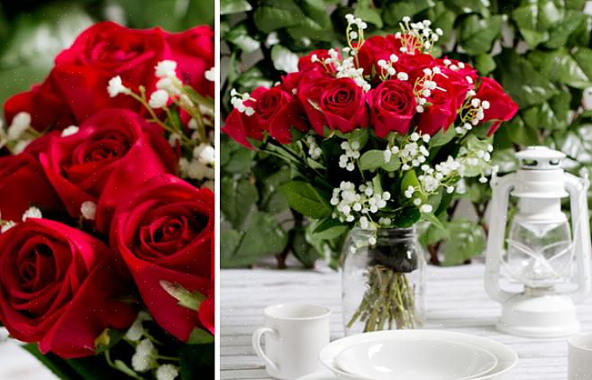 Dar flores de presente é uma das maneiras mais fáceis de mostrar seu amor