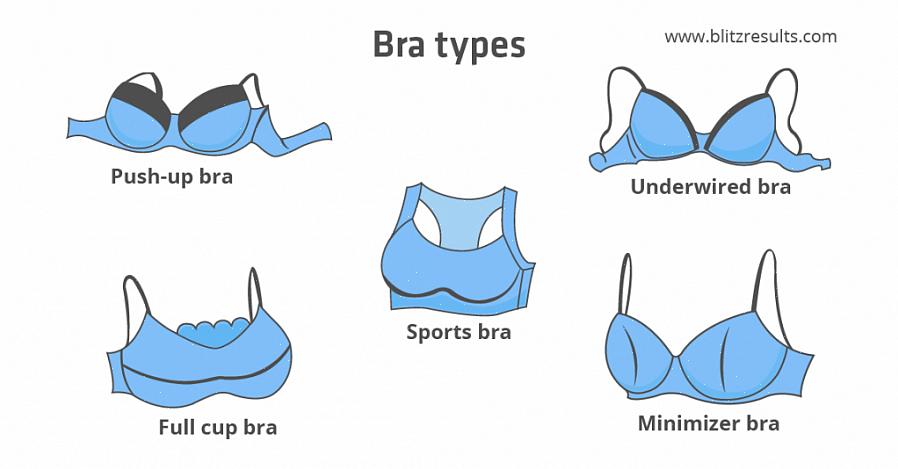 Esses estilos diferentes de sutiãs fornecem o suporte de que as mulheres precisam e