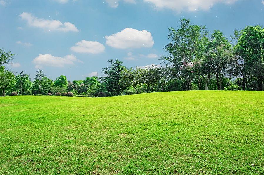 As propriedades do terreno variam de lotes residenciais a comerciais