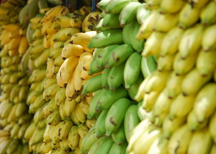 Verde - as bananas com a maior parte da cor verde ainda não estão prontas para comer cruas