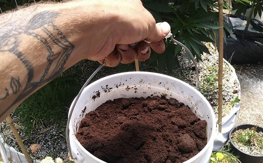 Lavá-lo com pó usado pode adicionar uma cor mais rica aos seus cabelos