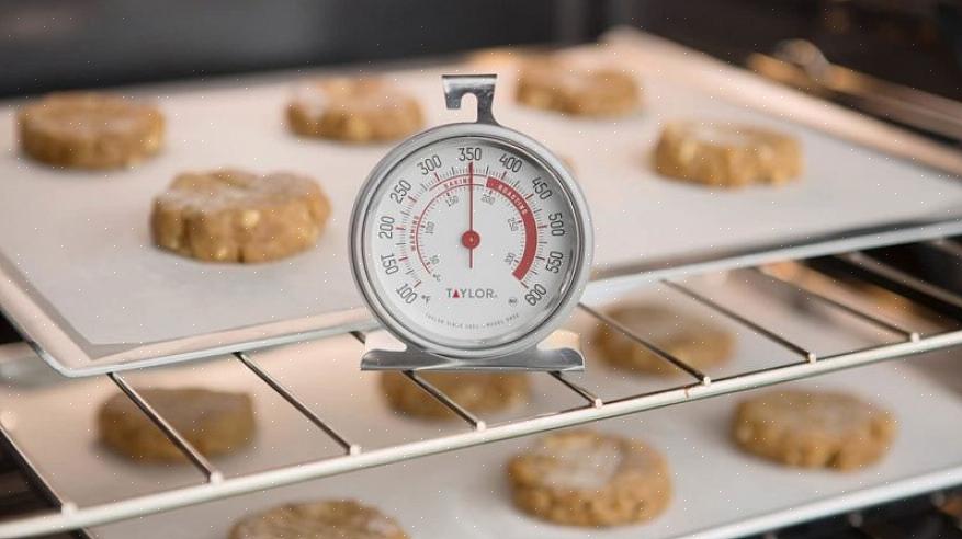 Dos alimentos com um termômetro de forno é um dos fatores críticos no controle de bactérias alimentares