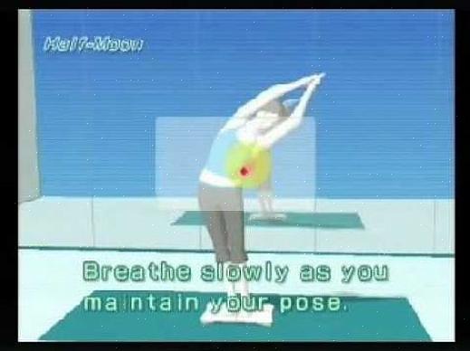 O gadget Wii Fit obterá informações básicas como peso