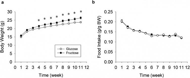 Mas seu conteúdo de frutose não é processado no corpo da mesma forma que o açúcar normal e