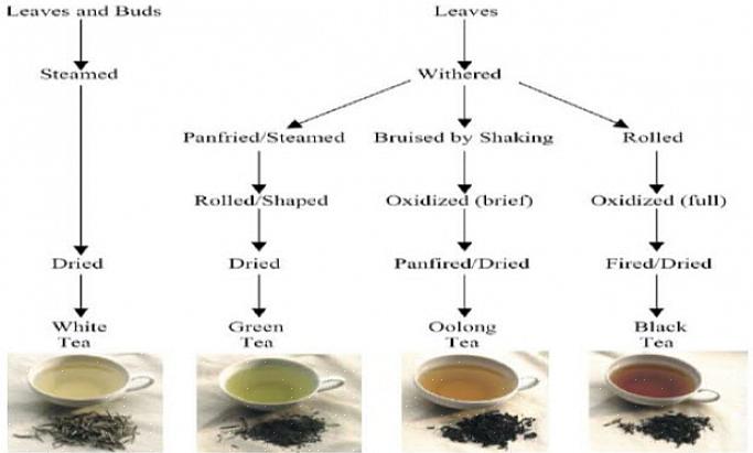 Muitos estudos sobre os benefícios do chá verde para a saúde basearam-se no consumo diário de quatro