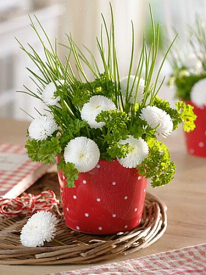 Os buquês de flores são um ótimo complemento para a decoração da sua casa ou um presente especial