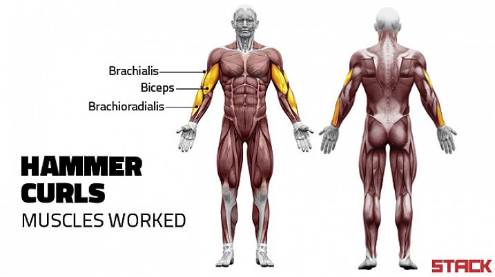 Lembre-se de girar as palmas das mãos de modo que fiquem voltados para o seu corpo