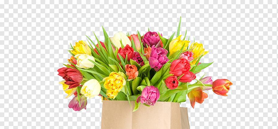 Existem também tulipas com cores variadas que podem ser bastante interessantes quando misturadas com tulipas