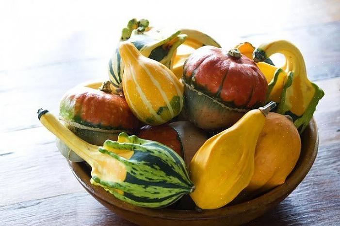 As cabaças são conhecidas por serem plantas versáteis no sentido de que têm muitos usos além de serem