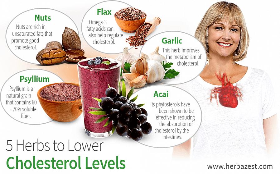 O principal culpado por trás das doenças cardíacas é um lipídio ou gordura chamado colesterol
