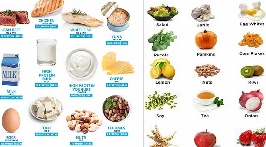 Isso significa que um alimento contém 10 gramas de proteína premium em cada prato