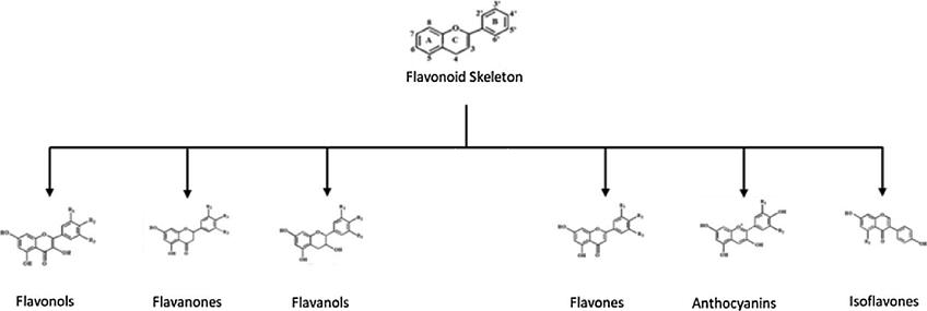 Os flavonóides podem ser encontrados em muitas frutas