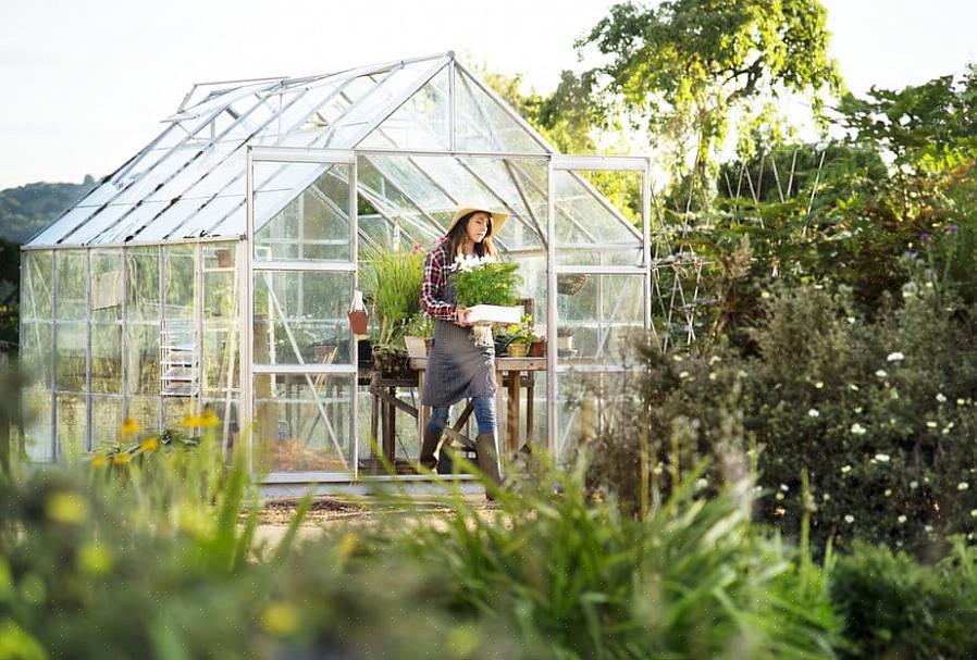 Uma estufa de jardim é uma casa de jardim estruturada feita de vidro ou plástico que é usada para cultivar